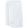 Ladies Hawk Soccer Shorts Thumbnail