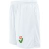 Ladies Hawk Soccer Shorts Thumbnail