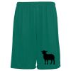 Youth Training Shorts Thumbnail