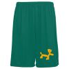 Youth Training Shorts Thumbnail