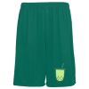 Youth Training Shorts Thumbnail