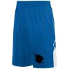 Youth Alley-Oop Reversible Shorts Thumbnail